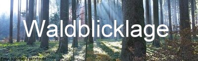 Waldblick Immobilien